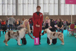 Dailo's docter love: Yought winner 2012